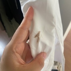 カットソーの画像