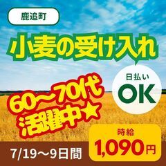 小麦の受け入れ作業（夜勤）