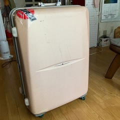 特大スーツケース
