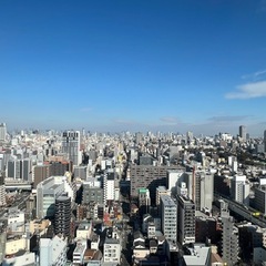親孝行代行