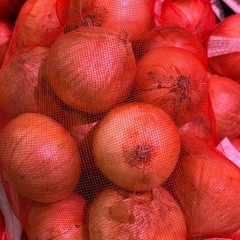 玉ねぎ メークイン