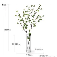 ドウダンツツジ　フェイクグリーンの画像