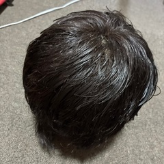 カット済みモデルの画像