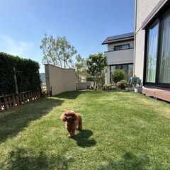 はじめまして、よろしくお願いします。