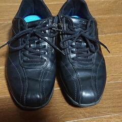 ★返金保証・試着可【MIZUNO ミズノ メンズ 中古ウォーキングシューズ 26cm 3E★甲高幅広 チャック開閉で履きやすい♪】の画像