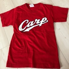 CARP カープ　すずき　130cmの画像