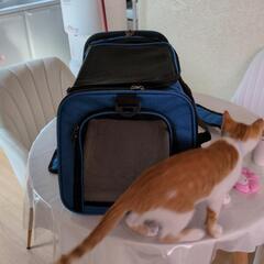 猫、犬用キャリー