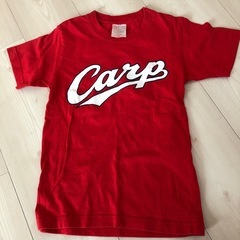 CARP カープ　MARU 130cmの画像