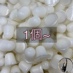 【産卵用】昆虫ゼリー16g ハイグレードタイプ1個16円から〜/...