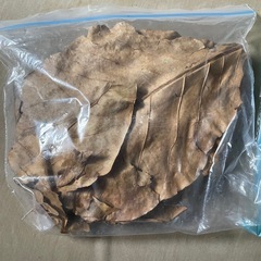アクアリウム用品の画像