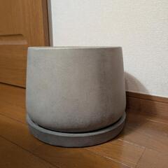 コンクリートポット　皿付き　植木鉢の画像