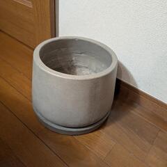 コンクリートポット　皿付き　植木鉢