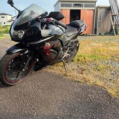 カワサキ　ニンジャ250
の画像