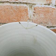 植木鉢５個の画像