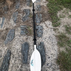 パーセプション　カヤック　パドル　230cm
