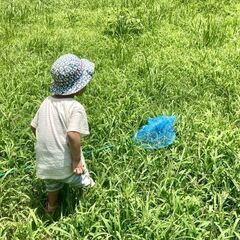 夏の虫探検隊