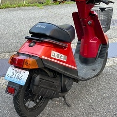ペリカンジョグの画像