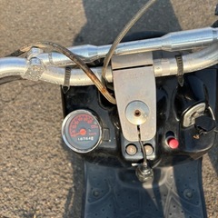 ロンホイズーマー実働‼️の画像