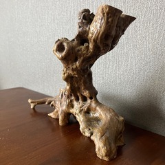 流木（7月いっぱい）の画像