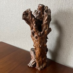 流木（7月いっぱい）の画像
