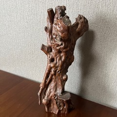 流木（7月いっぱい）の画像