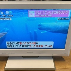 SONY テレビ　19インチの画像
