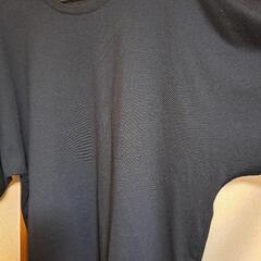 🉐Tシャツ 3L