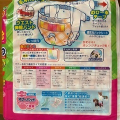 マナーおむつ
の画像