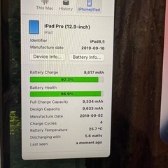 【極美品】iPad Pro 12.9 第3世代 64GB バッテリー96% 充電4回！の画像