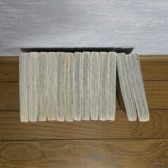 バンビーノの画像