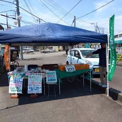 野菜をつくって　食べて幸せになる　well-being  三島育ちの野菜を三島の人の幸せにつなげたいの画像