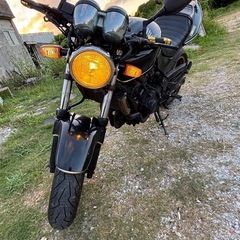 ホーネット 250