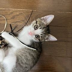 甘えん坊　なぎちゃん❤️ トライアル決定