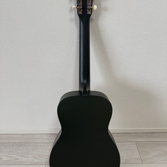 Gretsch G9500 Jim Dandy アコースティックギターの画像