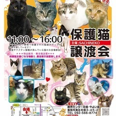 7/27 さち猫福岡譲渡会　読売センター花畑やよい坂