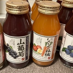 信州産ジュース10本
