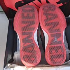 AIR JORDAN XXXIのシューズの画像
