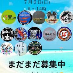 にしかたメダカフェス　開催のお知らせ　めだか