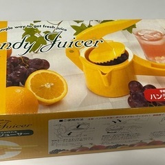 お手軽アイテム　ハンディージューサーの画像