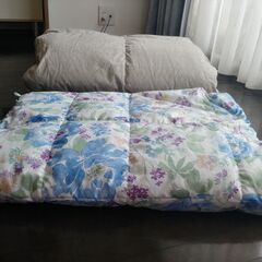 羽毛ダウンケット/肌掛け布団の画像