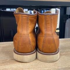 【RED WING】 アイリッシュセッターの画像