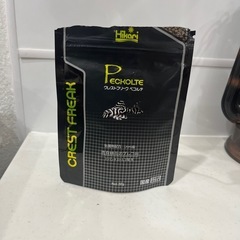 インペリアルゼブラプレコ（6.5㎝）　1匹の画像