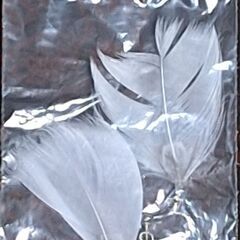 蜀漢 丞相・軍師 諸葛亮(孔明) 3点セット 木像・金属しおり(本用)・羽扇イヤリングの画像