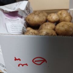 値下げします新鮮ジャガイモ家庭菜園での収穫分お譲りします1の画像