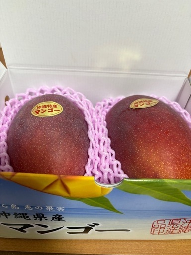 マンゴーA品2玉