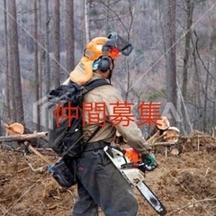 木こり仲間募集中