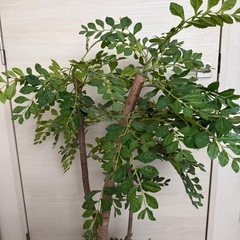 人工観葉植物 約120cm 黒鉢付きの画像