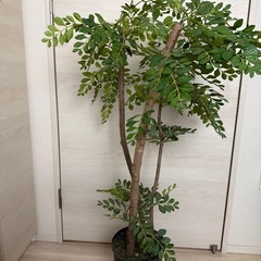人工観葉植物 約120cm 黒鉢付きの画像