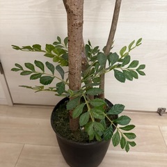 人工観葉植物 約120cm 黒鉢付きの画像