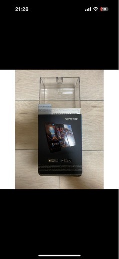 gopro max